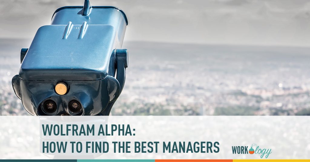 manager, wolfram alpha, leadership, qualities