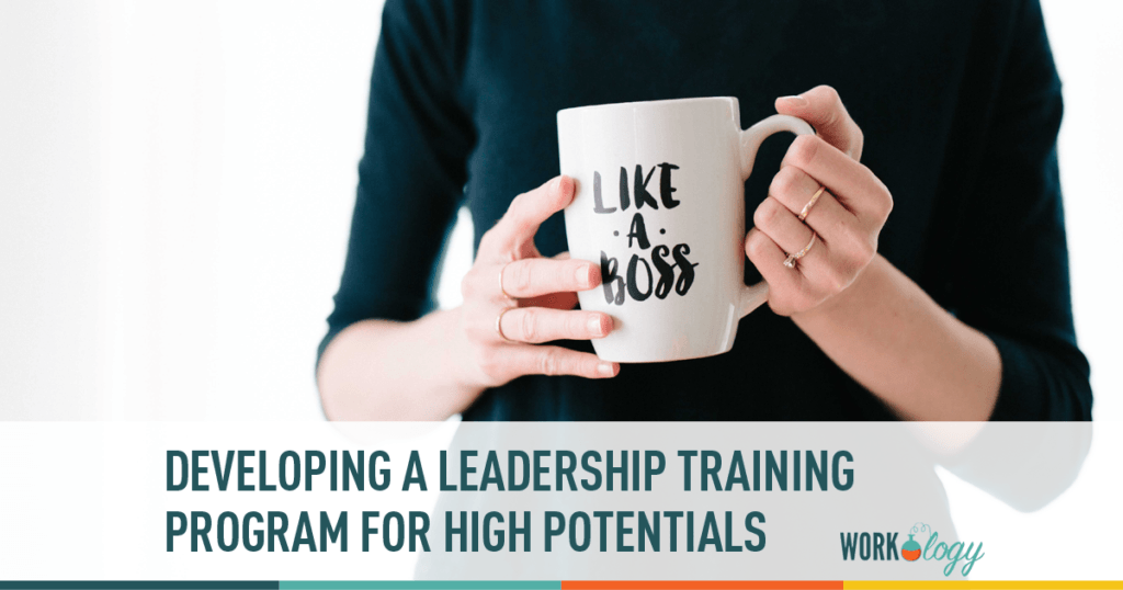 Successful Training Programs for High Potentials