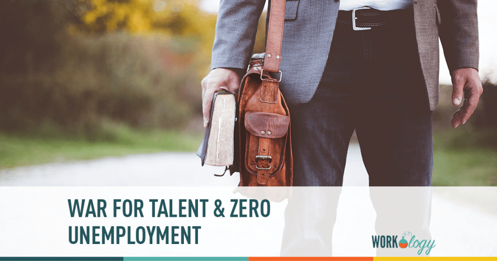 Zero Unemployment as a platform and tool