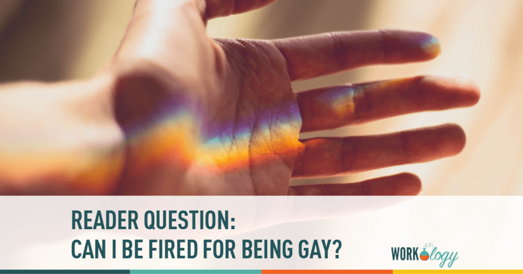 gay, diversity, human rights, fired, LGBTA