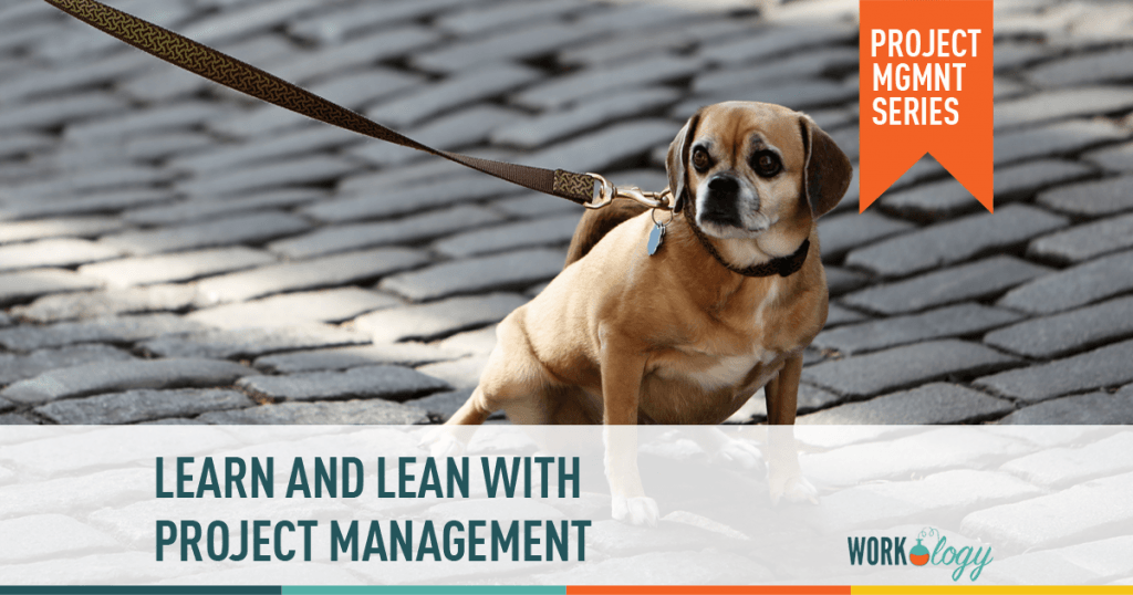 Leveraging on Project Management tools in Business