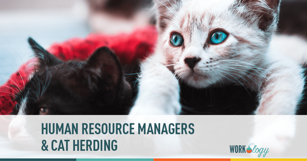 What Cat Herding and Human Recourses Have in Common:
