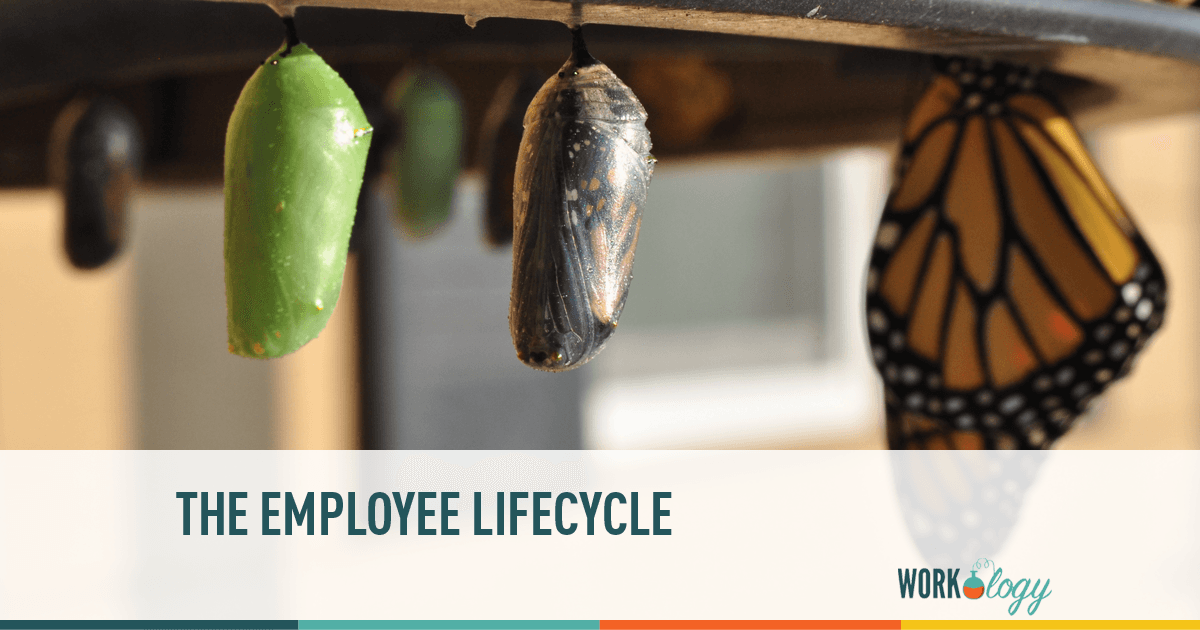 Understanding all the steps in the Employee Lifecycle
