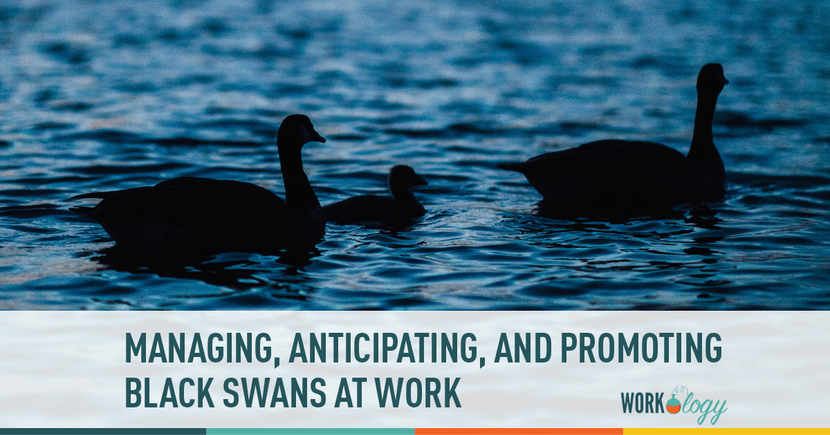 lørdag Ære at ringe Managing, Anticipating, and Promoting Black Swans at Work - Workology