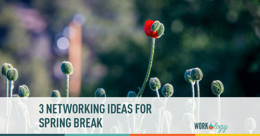 Networking Ideas to Consider for Spring Break