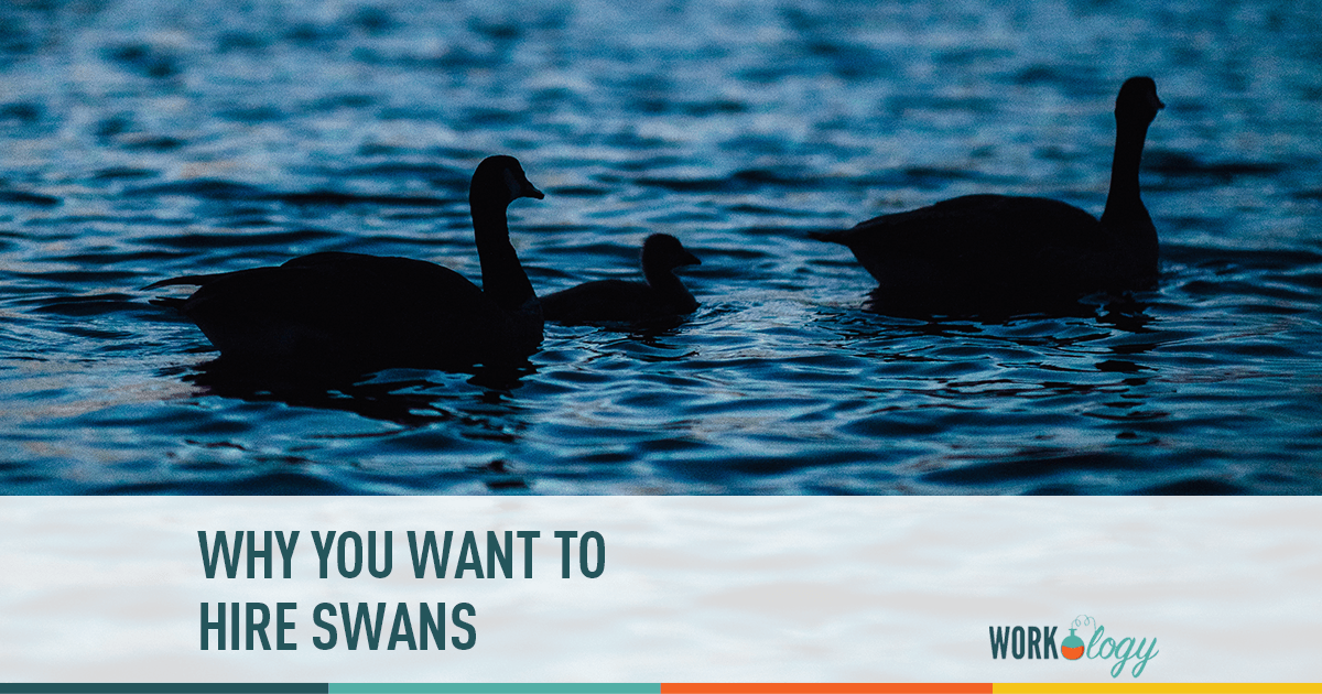 The Secret to Making Great Hires: Hiring SWANs