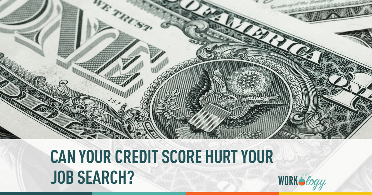 credit score, credit, job search