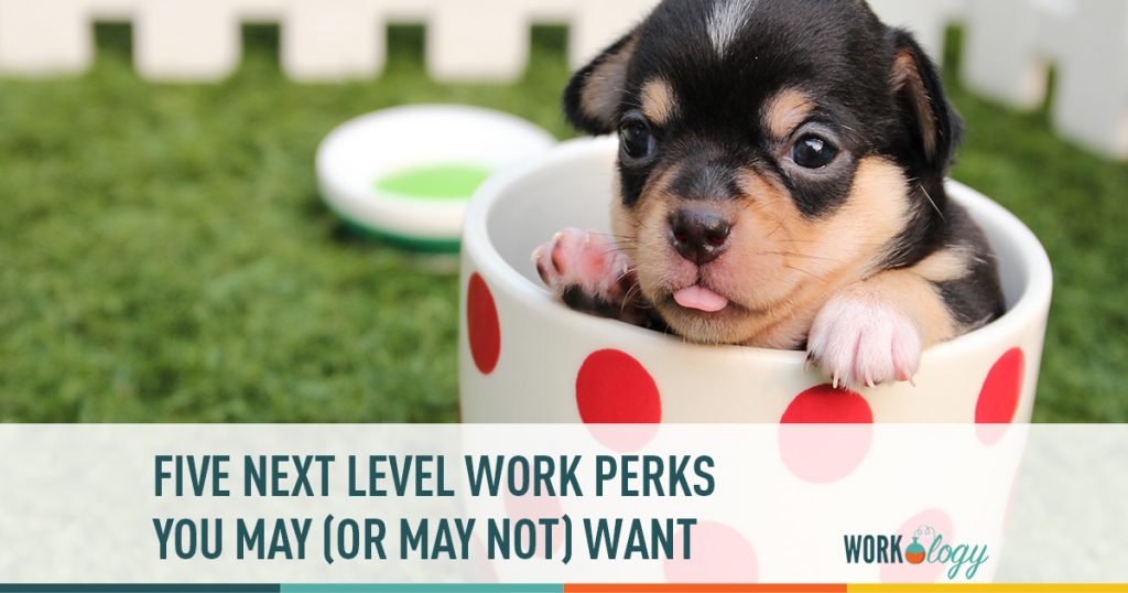 work perks, employee perks, benefits, employee satisfaction