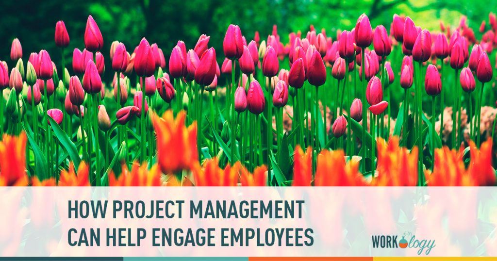 project management, employee engagement