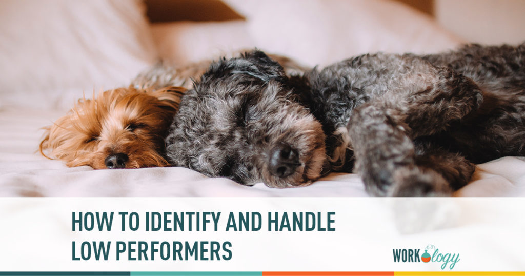 how to identify and handle low performers