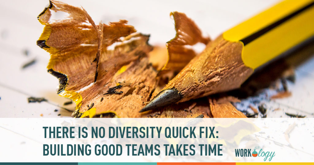 there is no diversity quick fix, building teams,