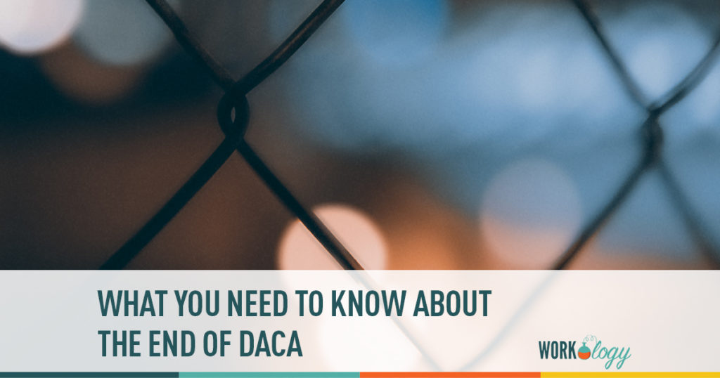 what you need to know about the end of daca