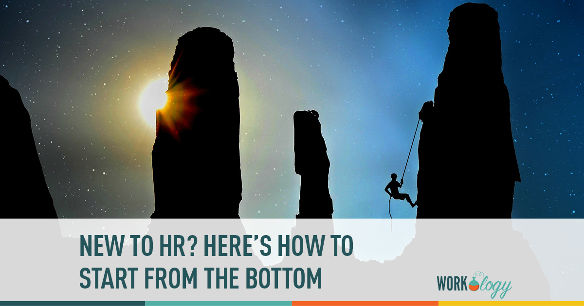new to hr? Here's how to start from the bottom