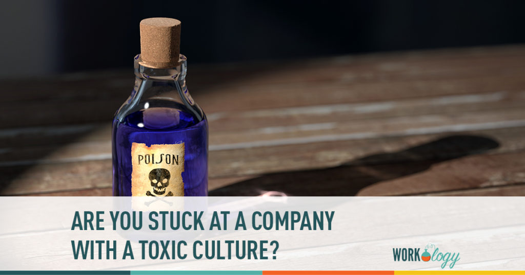 are you stuck at a company with a toxic cutlure