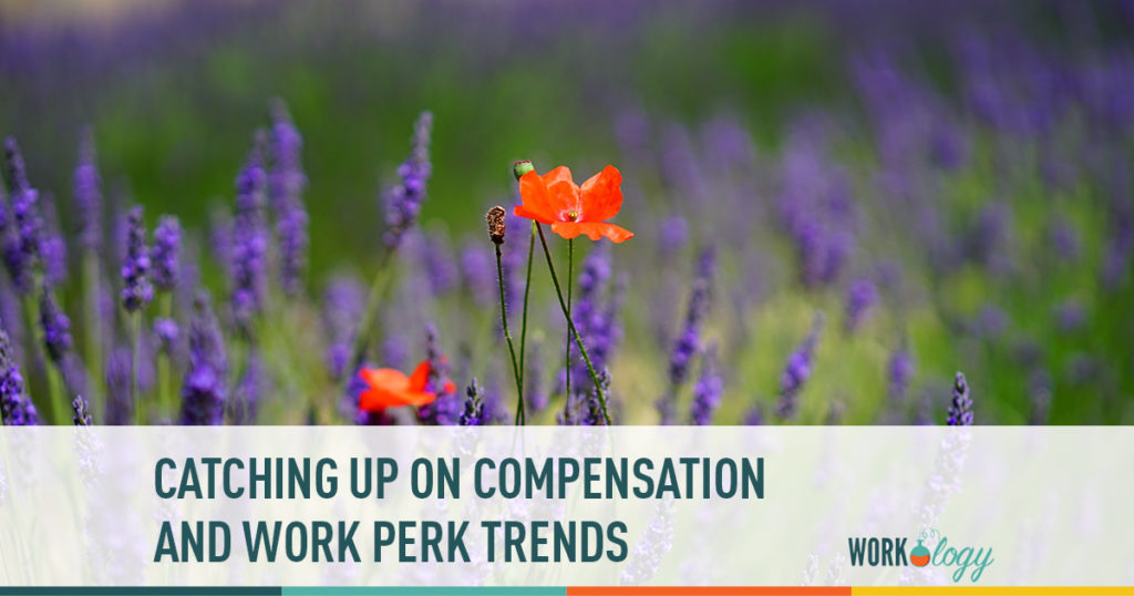 catching up on compensation and work perk trends