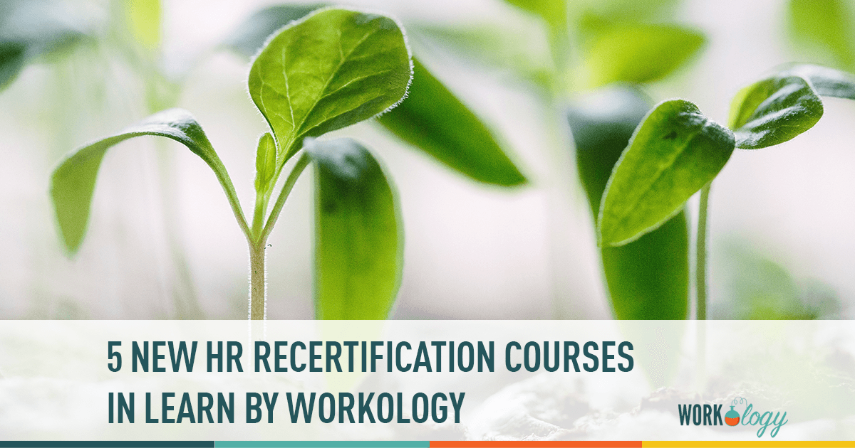 5 new HR recertification courses in LEARN by Workology